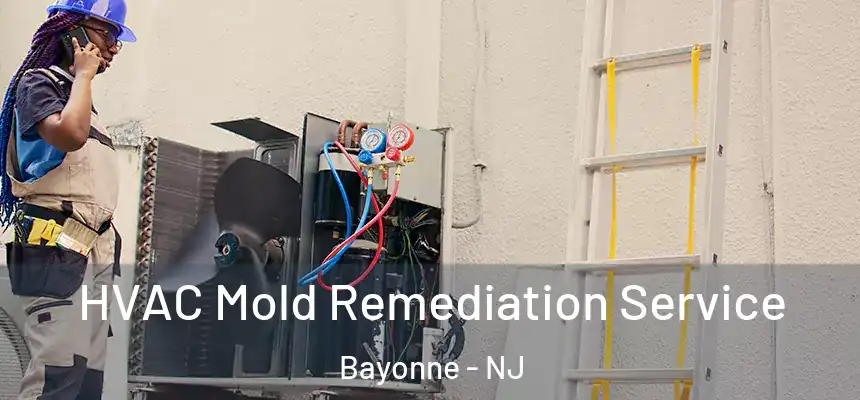 HVAC Mold Remediation Service Bayonne - NJ