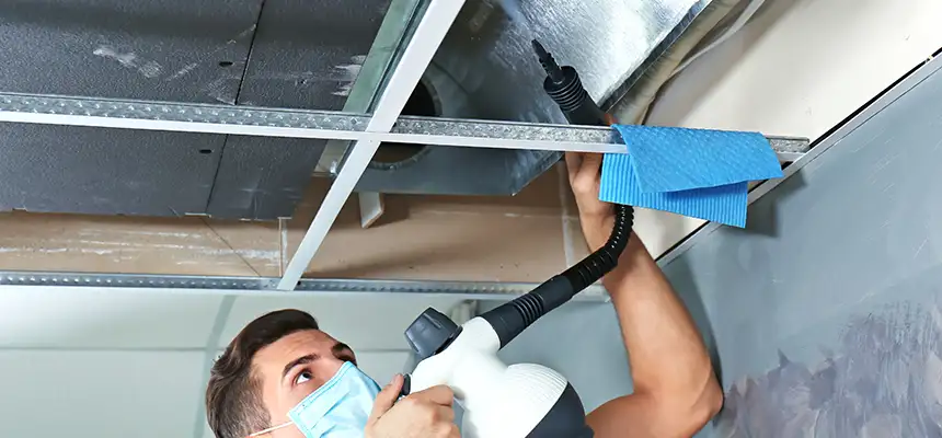 Our Air Duct Rodent Removal Services in Bayonne, NJ