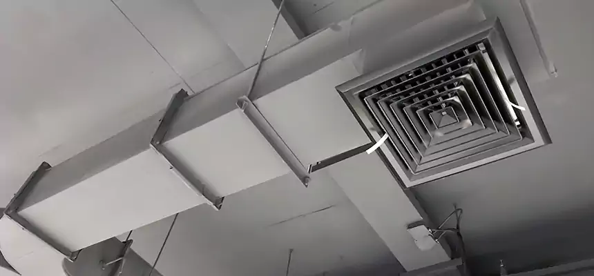 Restorative Allergy Relief Vent Cleaning – Coil, Blower & Housing Detail in Bayonne