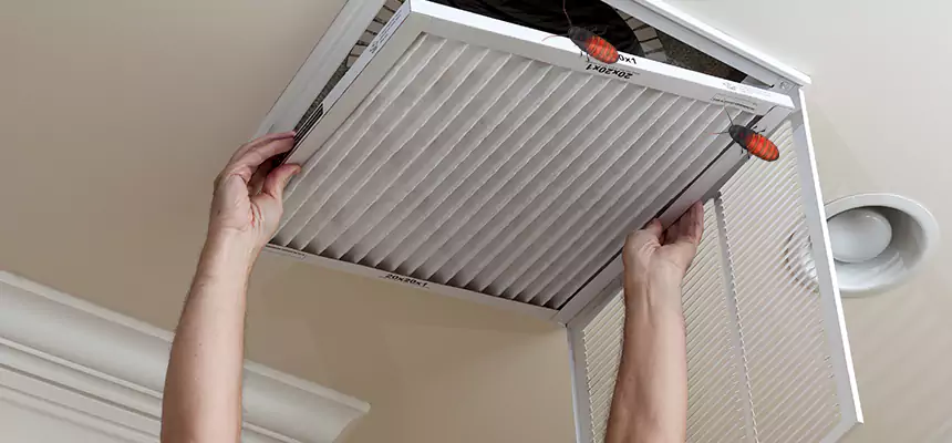Our Insect Removal from Air Ducts Services in Bayonne, NJ