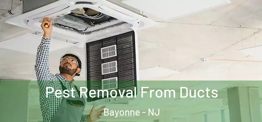 Pest Removal From Ducts Bayonne - NJ