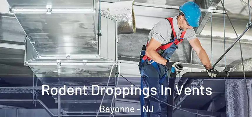 Rodent Droppings In Vents Bayonne - NJ