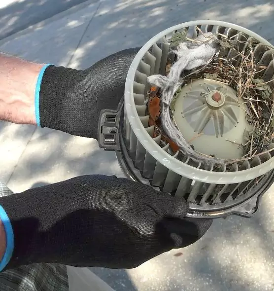 About Air Duct Mice Removal in Bayonne, NJ