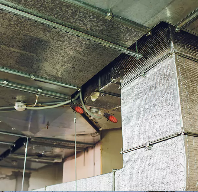 Why Homeowners & Businesses Trust Us in Bayonne, NJ?