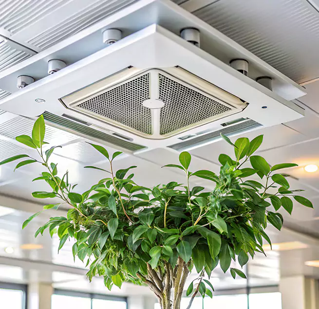 Why Homeowners & Businesses Trust Us in Bayonne, NJ?