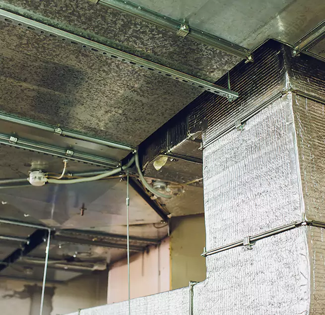 Why Homeowners & Businesses Trust Us in Bayonne, NJ?